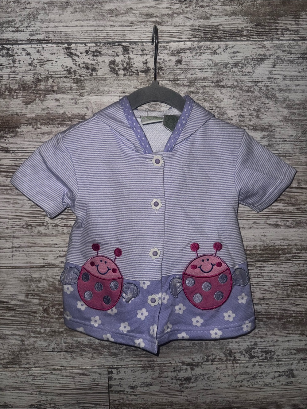 Vintage Lilac Striped Baby Hooded Top with Pink Ladybug Appliqués
